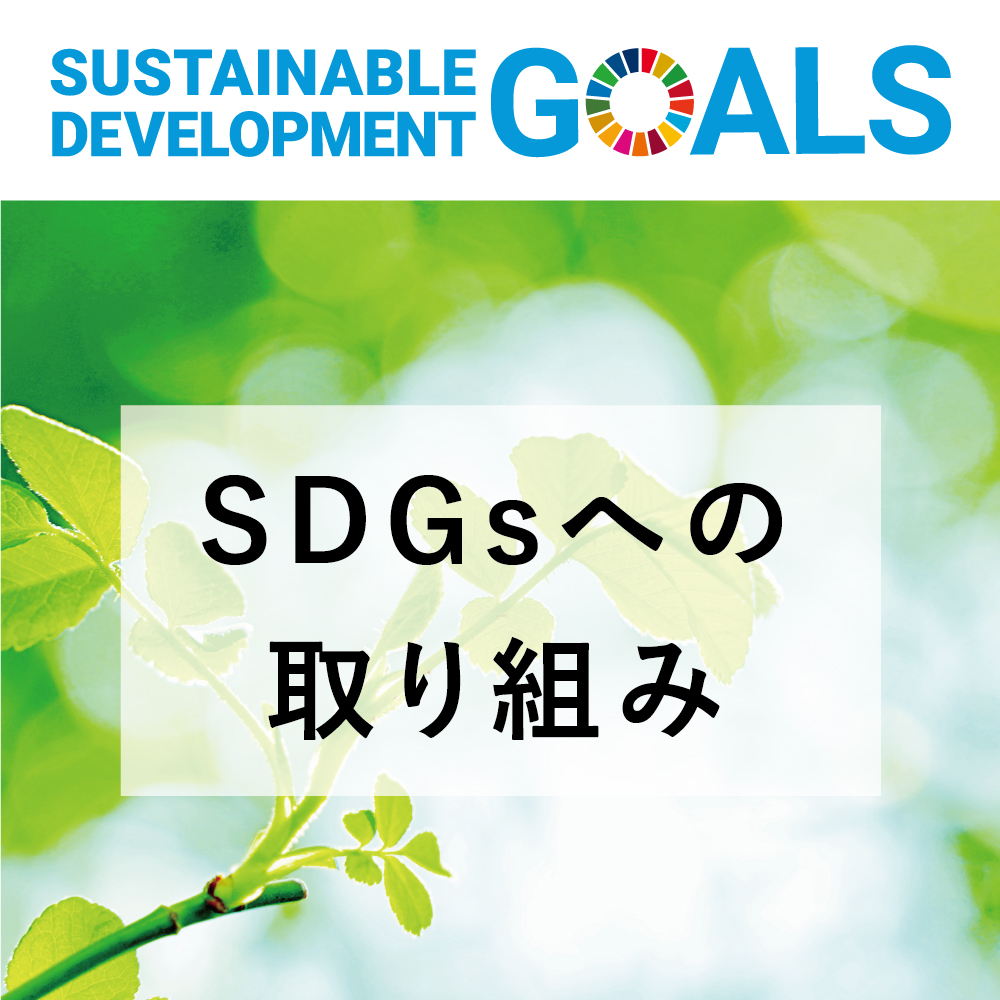 SDGs